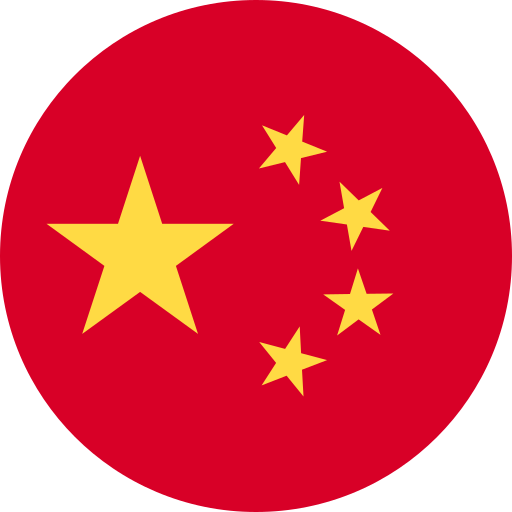 Ngôn ngữ china